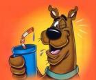Scooby Doo bir içki ile